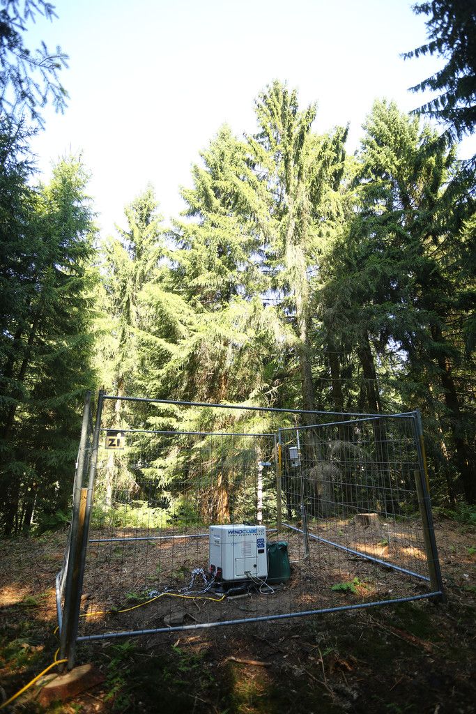 Am Standort, wo eines der drei Windräder stehen könnte, wurde mittels der Lidar-Messung Wind in bis zu 210 Meter Höhe gemessen. Foto: VN/KH