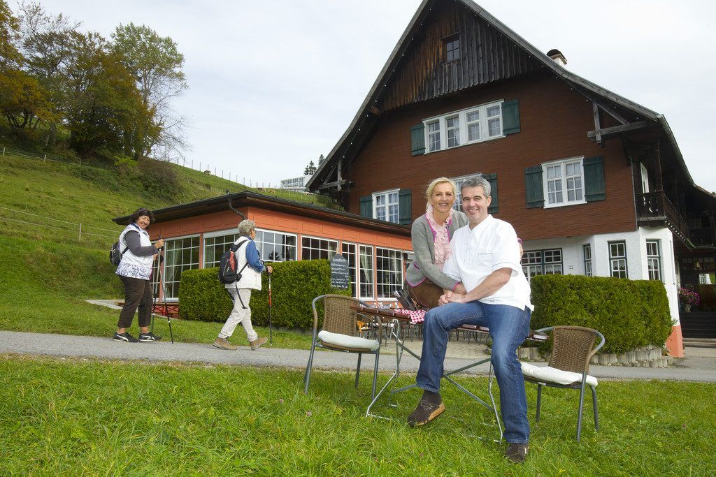 Dohle mit neuem Gesicht