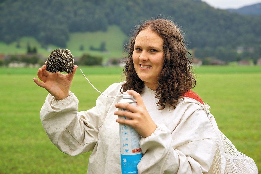 Schädlingen auf der Spur