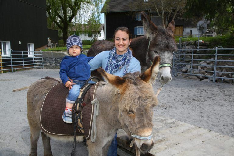 Auch Raphael, der Sohn von Julia Marte-Schwald, ist ein Fan von Peppi und Paul, die sich geduldig fotografieren lassen.  Foto: VN/Hofmeister