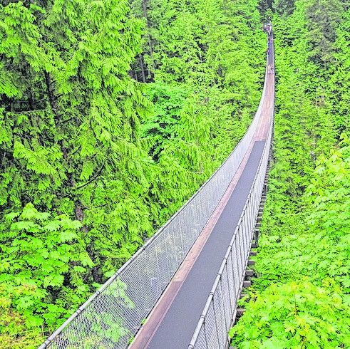 Hängebrücke in luftiger Höhe