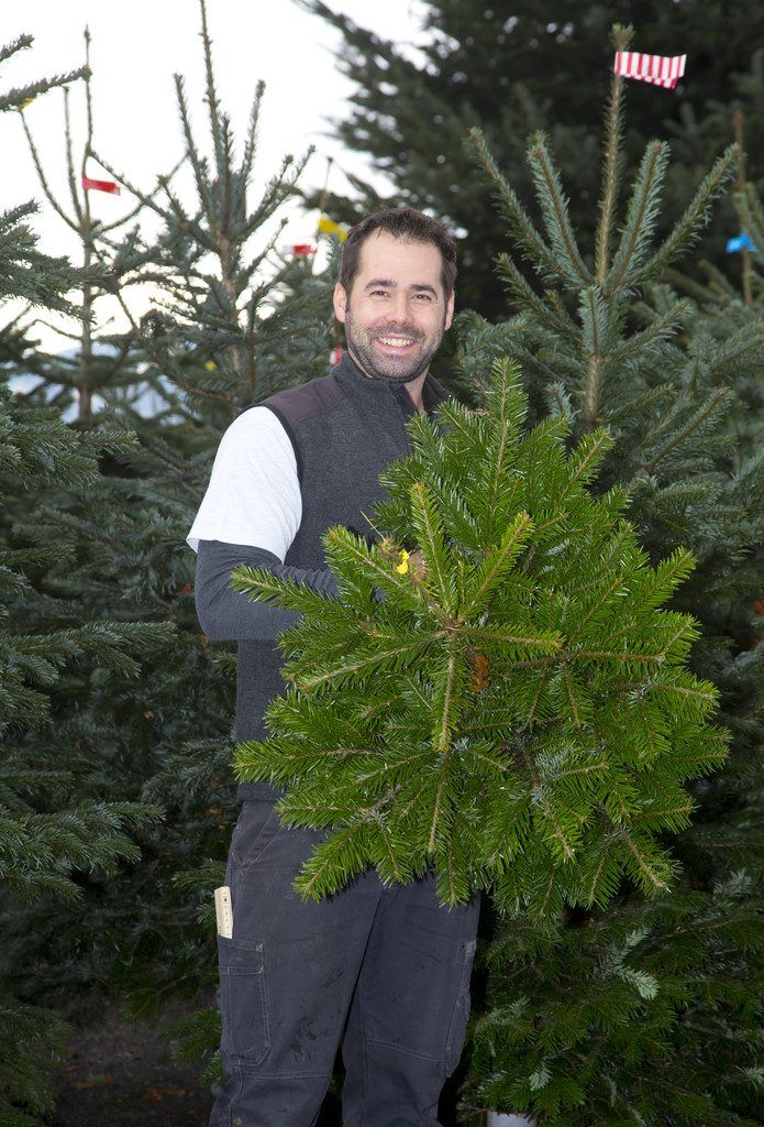 Ein Helfer des Christkinds