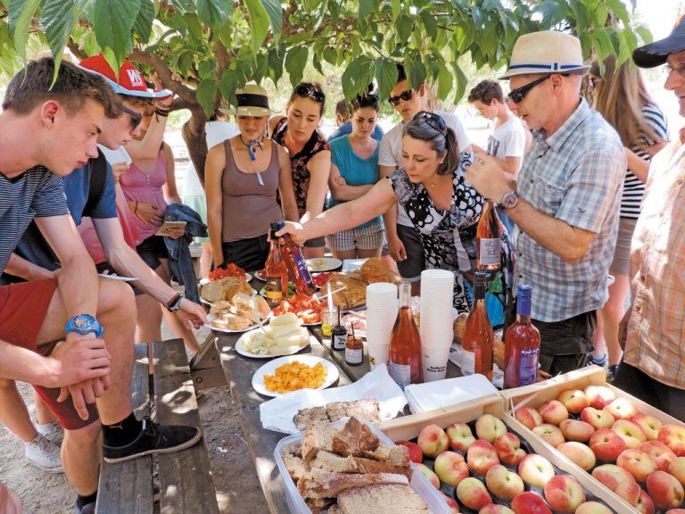 Das kann sich sehen lassen: das erste Picknick am wunderschönen Sandstrand von Barcarés.