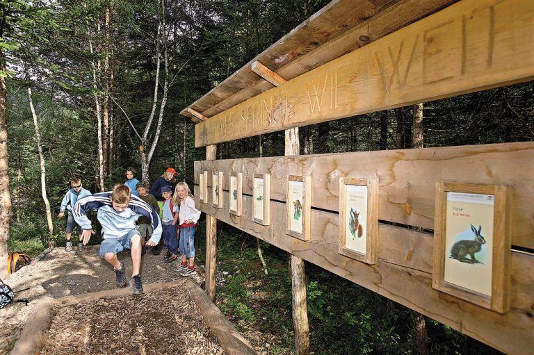 Den Walderlebnispfad in seinem Heimatort Marul hat Emil Burtscher vor zehn Jahren mitgestaltet. Foto: GW Tourismus
