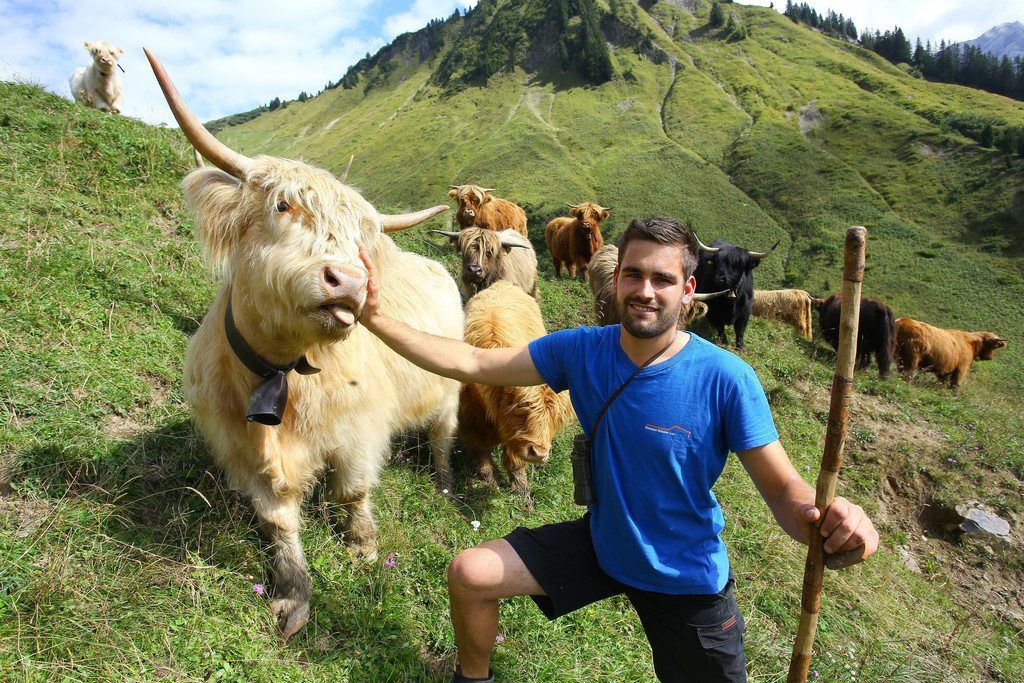 Thomas Heiseler hält Schottische Hochland-rinder auf der Alpe Ischkarney.