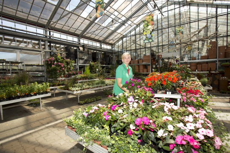Der Bau- und Gartenmarkt ist bei der BayWa nur eines von fünf Standbeinen. Fotos: VN/Paulitsch