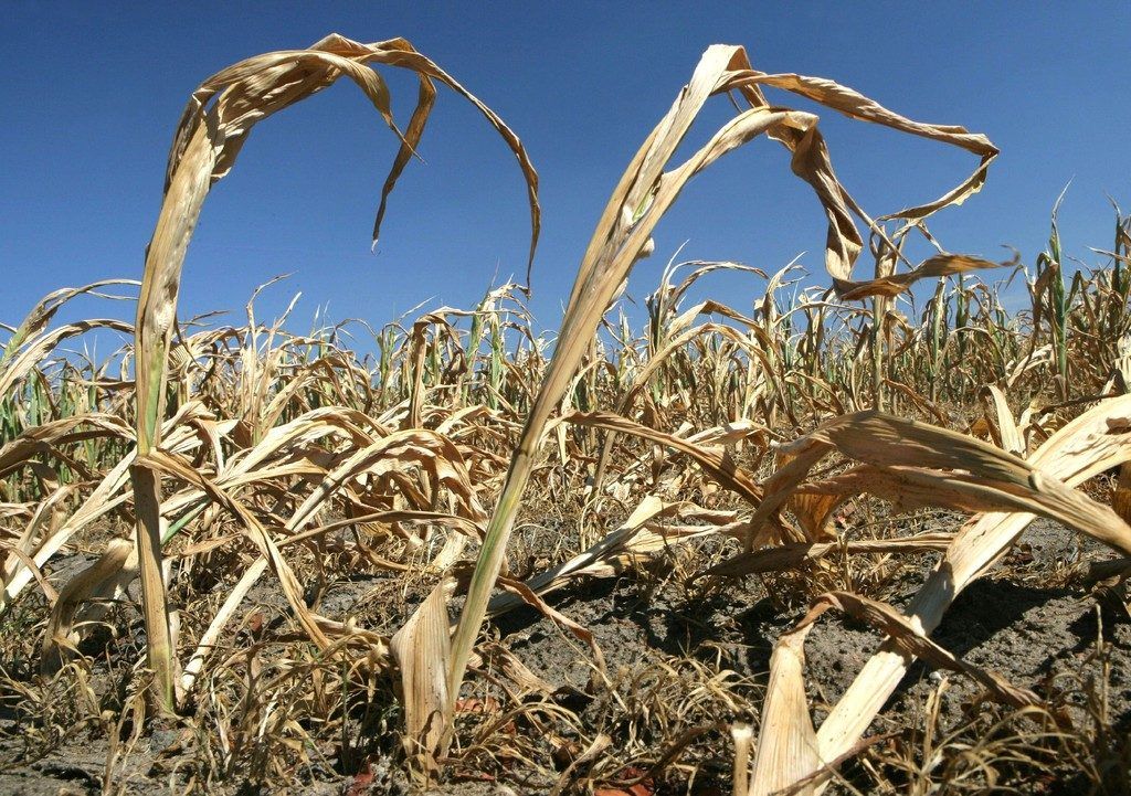 Klimawandel: Bedrohung oder Chance?