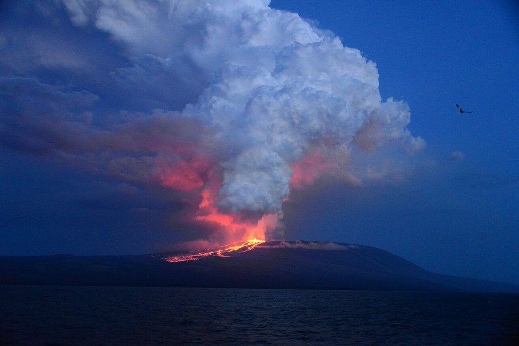Höchster Vulkan der Galapagos-Inseln ausgebrochen
