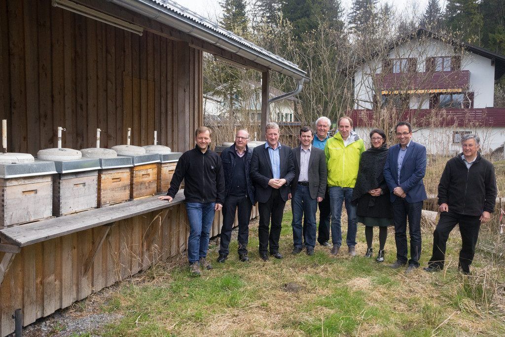 Netzwerk blühendes Vorarlberg mobilisiert Partner im Kampf gegen Bienensterben.
