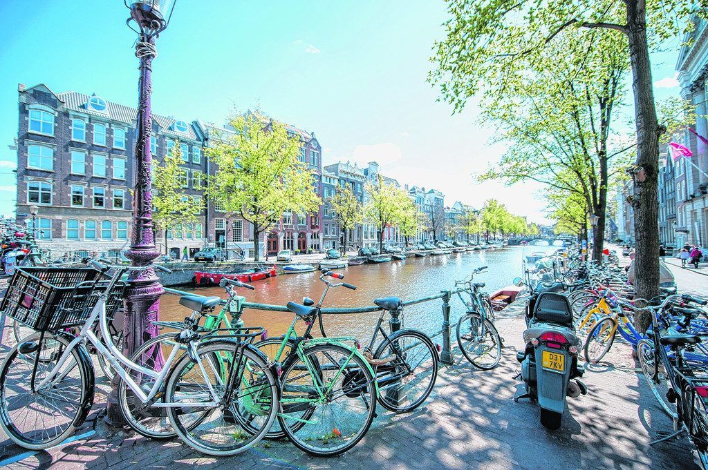 Blühender Frühling in Amsterdam