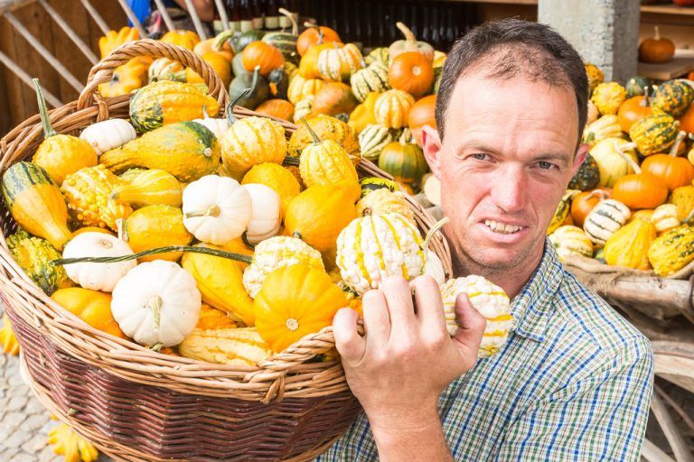 Die Körbe sind voll mit Gutem vom Feld. Martin Winder freut sich über ein ertragreiches Jahr. Foto: VN/Steurer