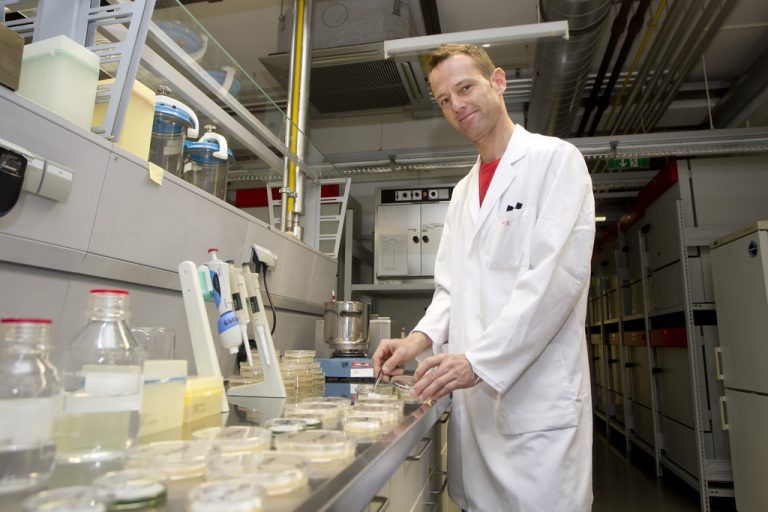 Die Mitarbeiter des Instituts für Umwelt und Lebensmittelsicherheit untersuchen rund 1700 Lebensmittelproben pro Jahr. Fotos: VN/Paulitsch