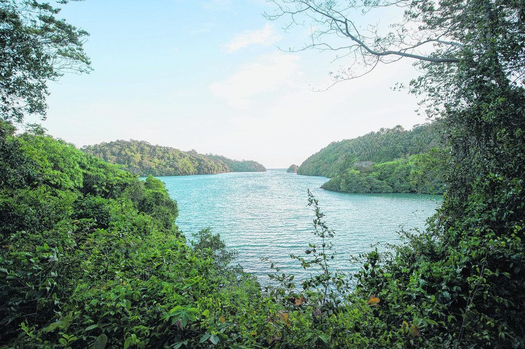 Einzigartige Tierwelt in der Lembeh Strait