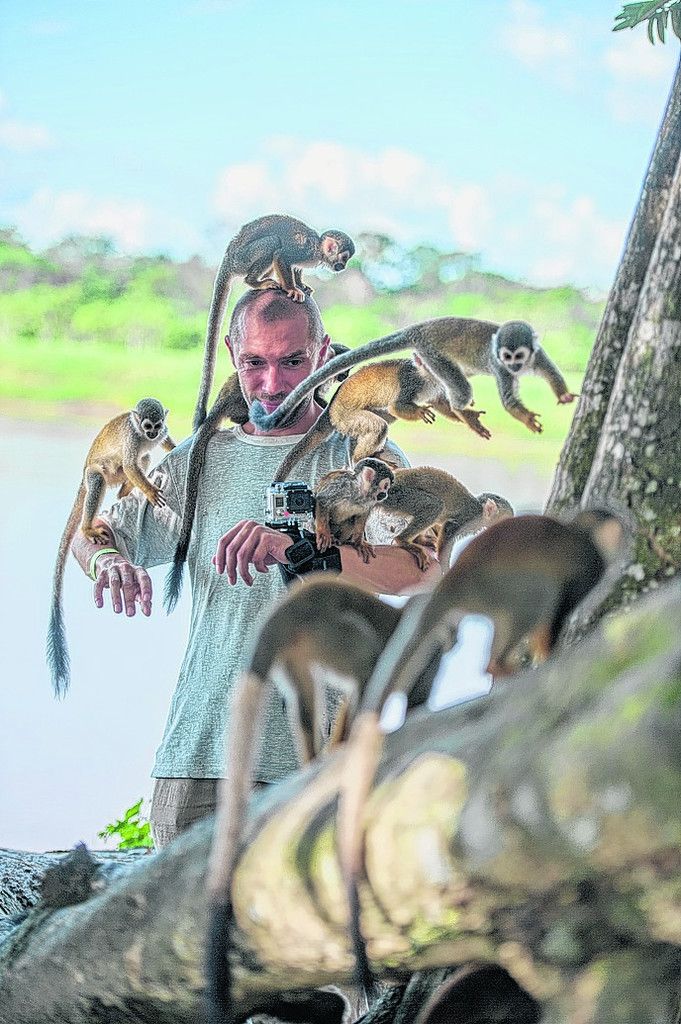 Die neugierigen Tiere begrüßen die Besucher der Insel.