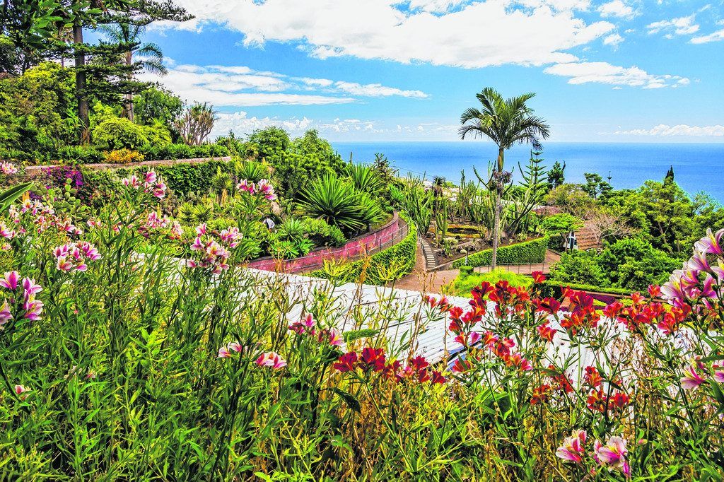Stille Wanderungen auf Madeira