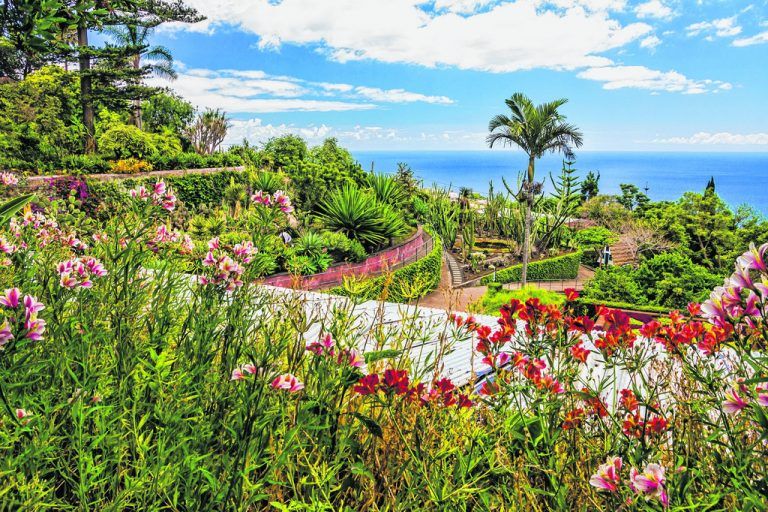 Die portugiesische Insel ist berühmt für ihre eindrucksvolle Blumenpracht. Fotos: shutterstock (7)