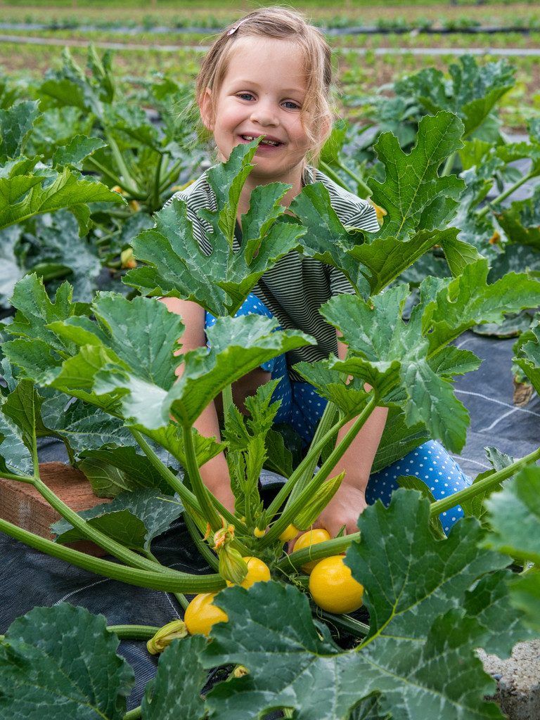 Zehn Schlüsselprojekte für Vorarlberg