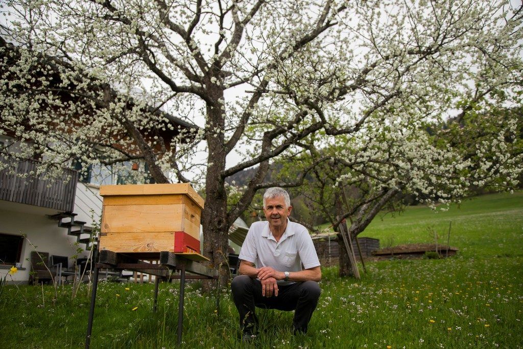 Alle Kraft für unsere Bienen