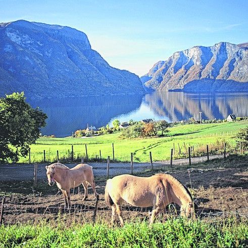Auf dem Pferd durch Norwegen