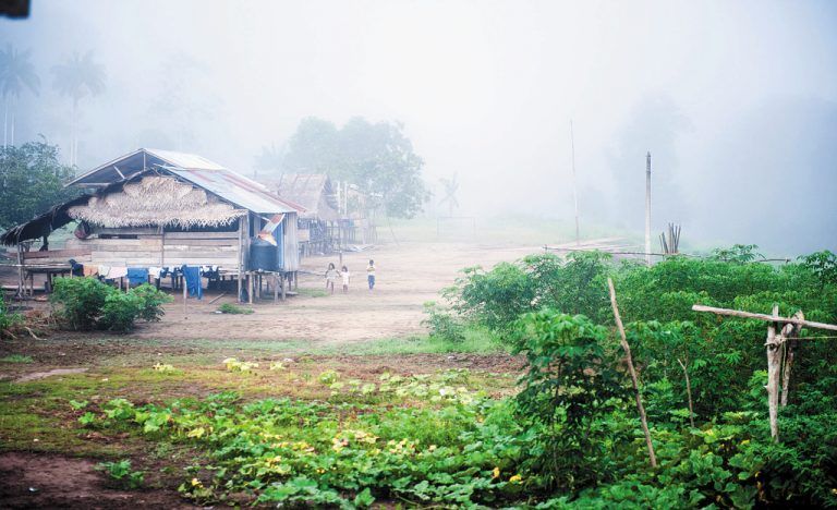 Ein kleines Dorf früh am Morgen im Amazonas. Fotos: beate rhomberg (6)