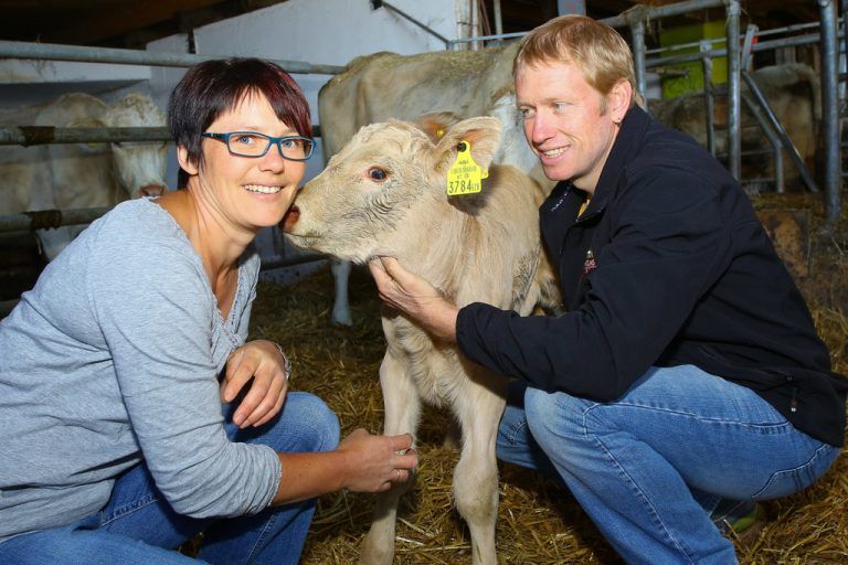 Eines der neusten Mitglieder bei Familie Breuss: Das noch namenlose Kalb war zu diesem Zeitpunkt erst einen Tag alt.