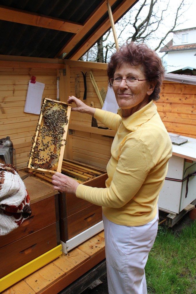 Von den Bienen lernen
