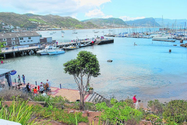 Fein Essen und anschließend am Hafen spazieren in Simon’s Town. Fotos: VN/rhomberg