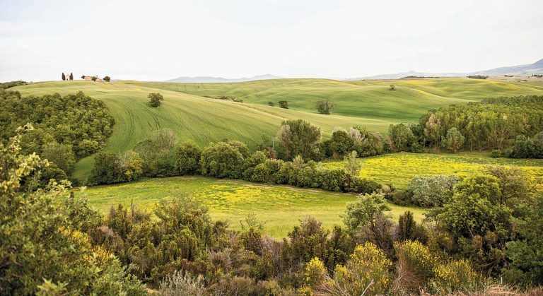 Urlaub für Genießer im Val d’Orcia