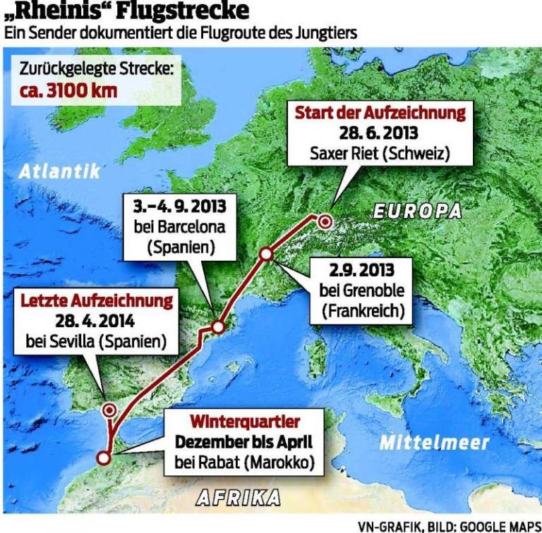 Rheini speist heut’ in Sevilla