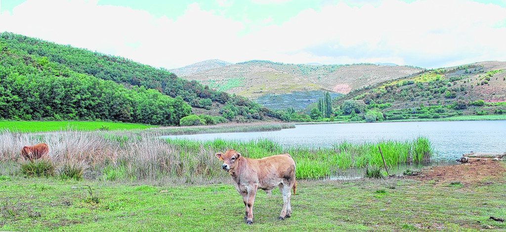 Montcortès: Der Fünfte See