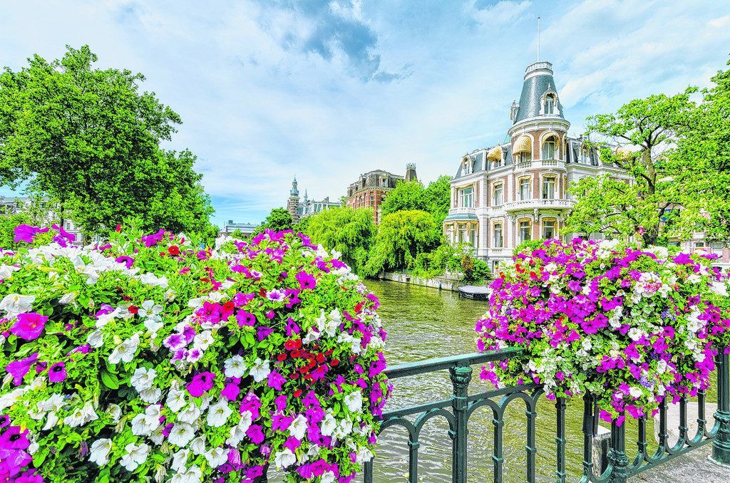 Blühender Frühling in Amsterdam
