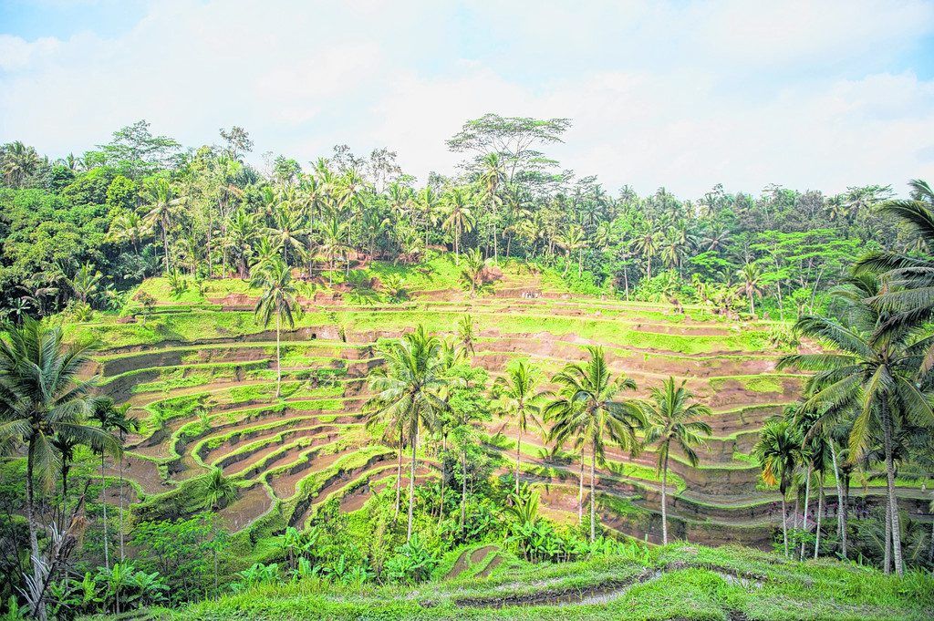 Entspanntes Leben in Indonesien