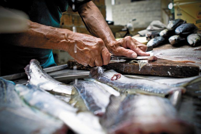Fotoserie von Marina Schedler: Ein Fischer bei seiner Arbeit.