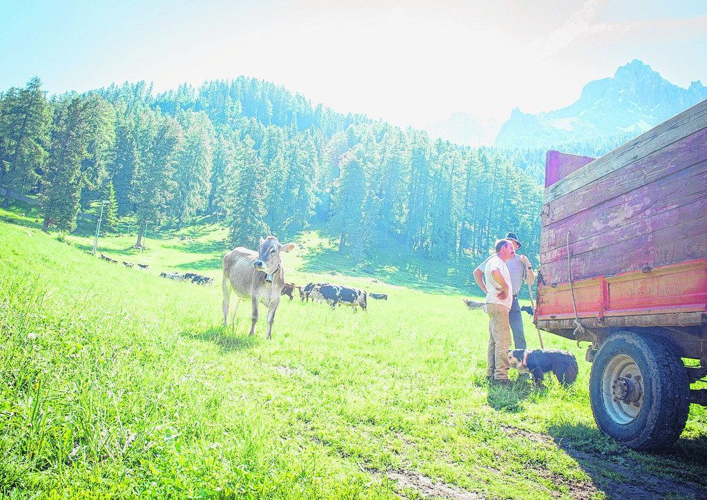 Genussurlaub in den Dolomiten