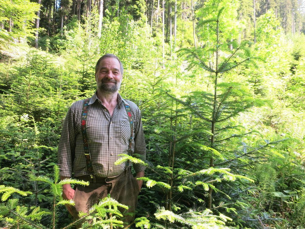 Kein Tag ohne den Wald