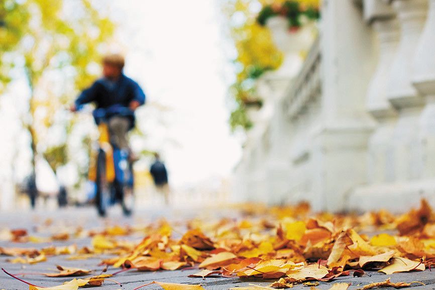 Sicheres Radfahren auch im Herbst