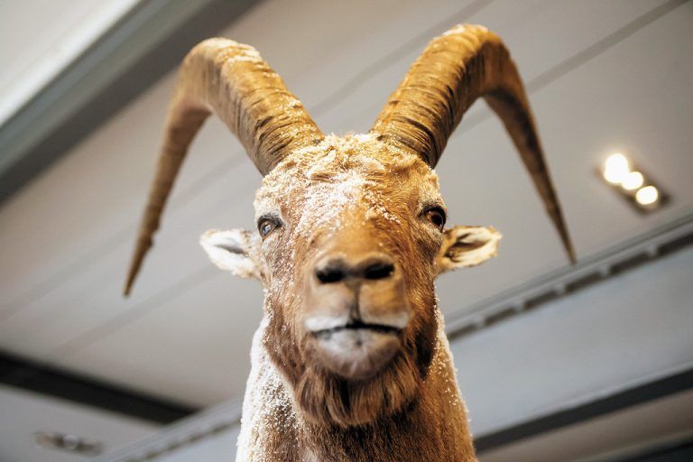 inatura. Anfassen ausdrücklich erwünscht – die inatura Dornbirn macht Natur, Mensch und Technik auf ganz besondere Art erlebbar.