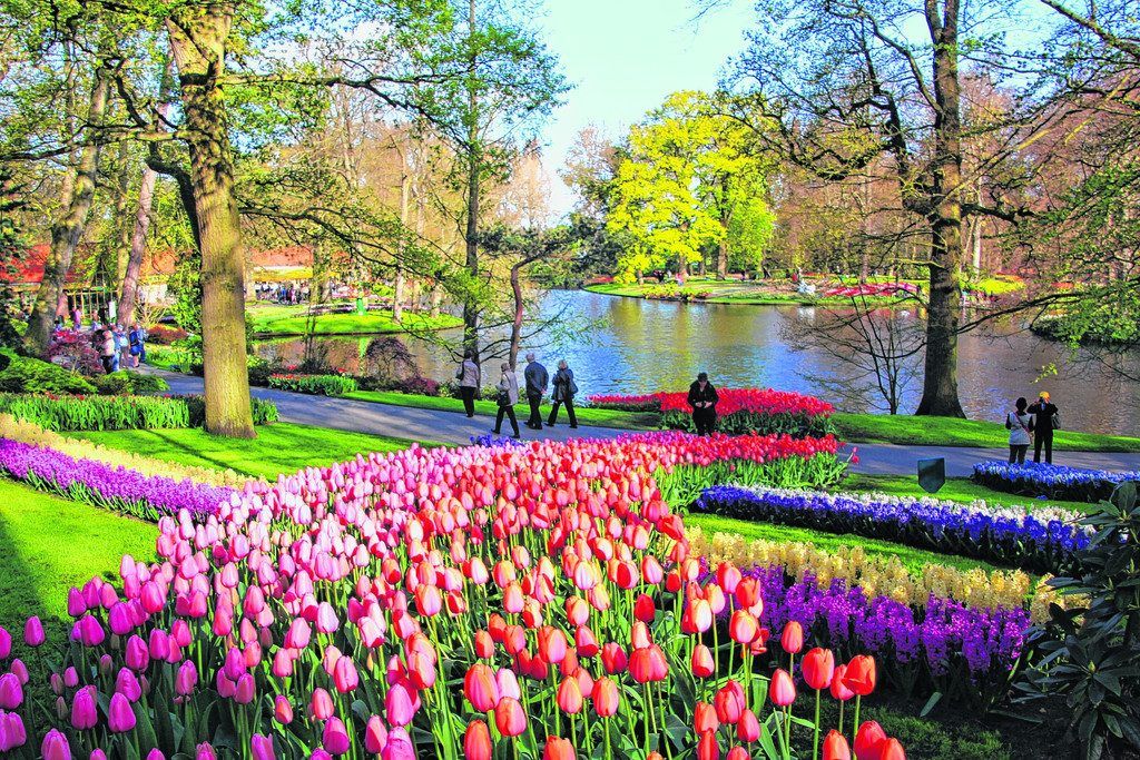 Keukenhof lockt mit bunter Blumenpracht