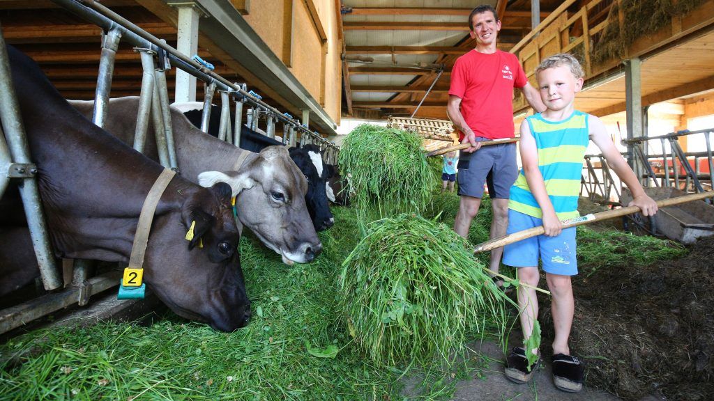 VN-Umfrage zeigt Zufriedenheit mit dem Bio-Angebot im Land