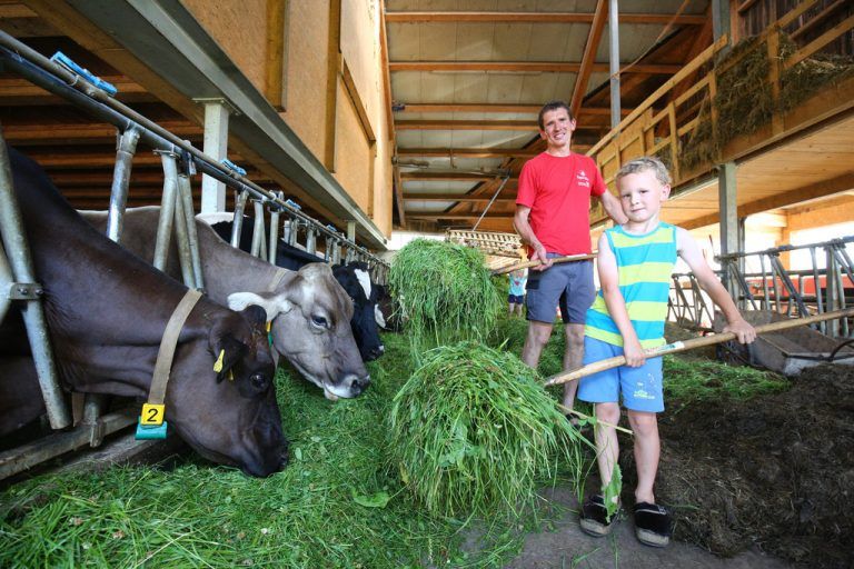 Jürgen Bereuter hat auf Milchbetrieb umgestellt und sieht darin für seinen Hof die Zukunft. Sohn Elias hilft ebenfalls schon fleißig mit.vn/hartinger