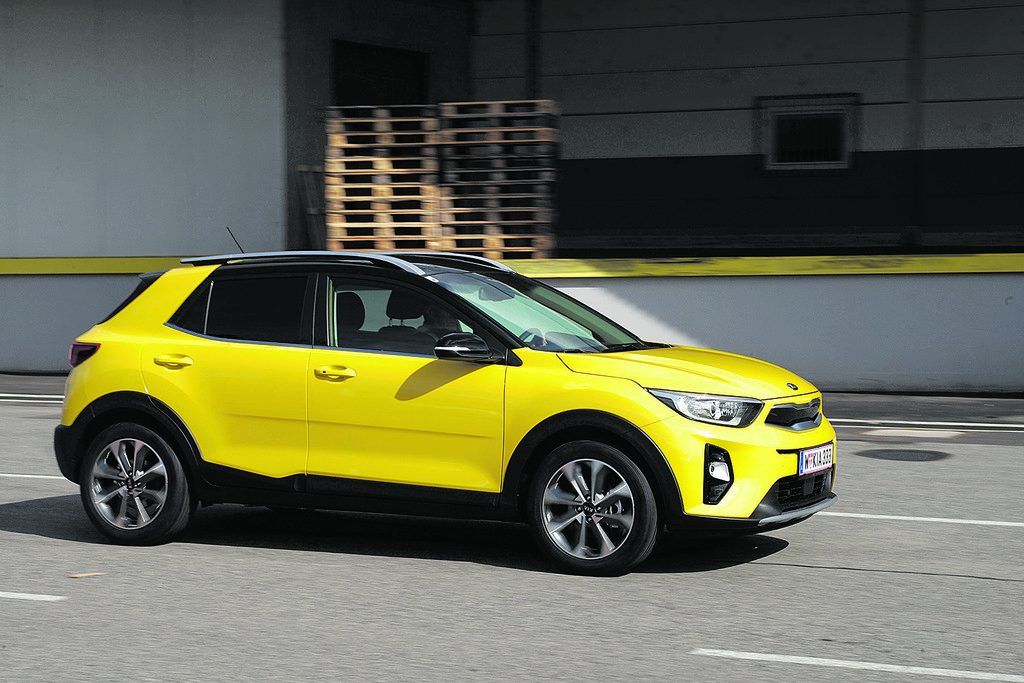 Der Kleinste ist in urbanen Revieren der Größte