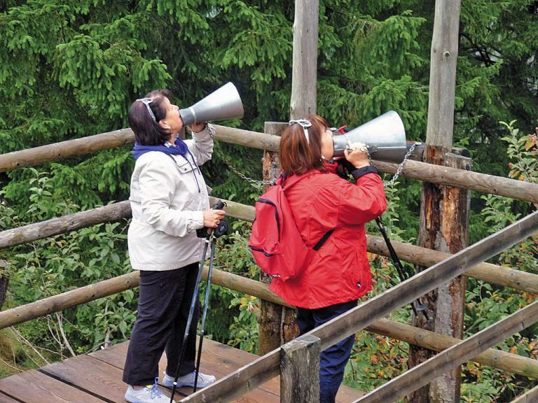 Klangraum SteinAusgehend von der Bergstation in Sonntag-Stein laden künstlerische Installationen auf dem Weg zur Echowand ein, zu lauschen, zu genießen oder die Klangkulisse mitzugestalten.