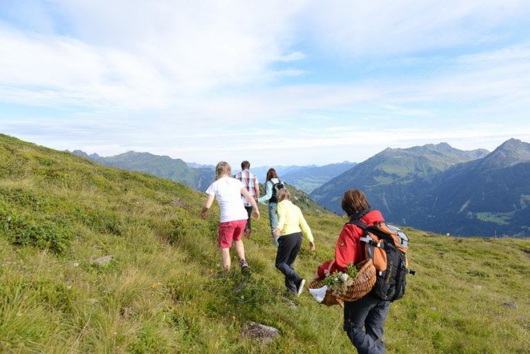 KräuterwanderungAuf einer geführten Wanderung erfahren die Teilnehmer allerhand Interessantes über die Schätze der Natur und können nebenbei eine wunderbare Aussicht genießen.