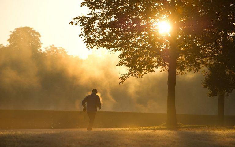 Laut Gesundheitsreport bewegen sich die Deutschen zu wenig. Foto: DPA