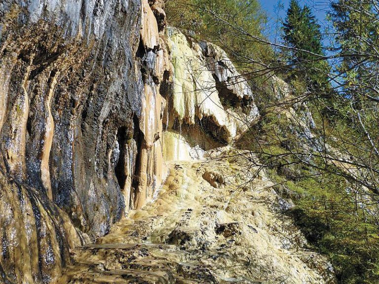 Lingenauer Quelltuff. Ein herausragendes Naturschaupiel bietet der Quelltuffhang in Lingenau. Die einstündige Wanderung beginnt bei der St. Anna Kapelle.