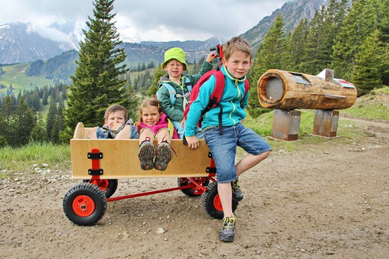 Maßnahmen wie der „Natursprünge-Weg“ machen das Bergerlebnis ansprechender. Foto: B.Ganahl