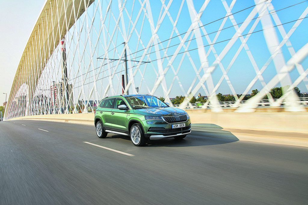 Der kleinere Bär kann auch ein Pfadfinder sein