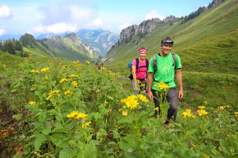 Mit sich und der Natur allein: Den Weg von Schönenbach nach Mittelberg müssen sich Wanderer im Sommer oft nur mit Kühen teilen.  Fotos: VN/Hofmeister
