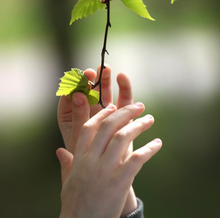 Nachhaltiges Investieren und trotzdem eine gute Rendite erzielen – das schließt sich absolut nicht aus, sagen Vorarlberger Anlage-Experten.