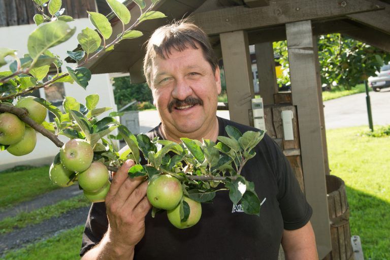 „Neben Regen brauchen die Äpfel viel Sonne. Das bringt Zucker und Aroma“, weiß Amann. Foto: Stiplovsek